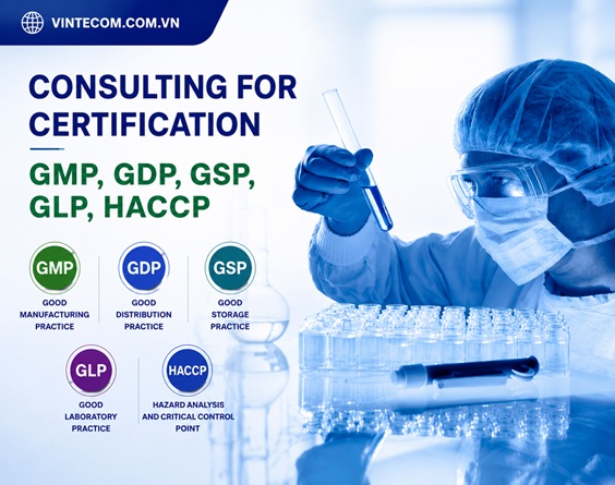 GMP introduction